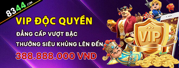 Hình ảnh quảng cáo của casieuno hiển thị nền tảng và các lợi ích