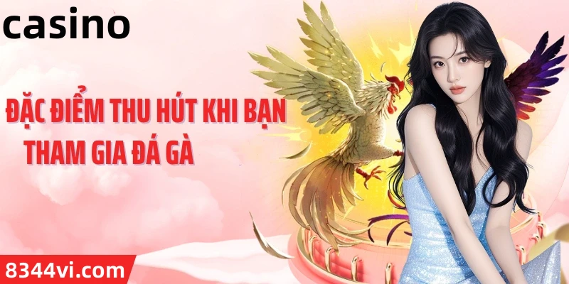 Hình ảnh quảng cáo của casieuno hiển thị nền tảng và các lợi ích