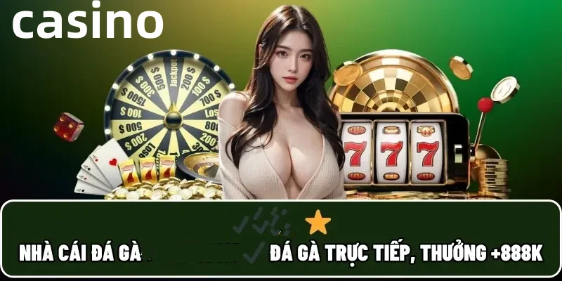 Hình ảnh quảng cáo của casieuno hiển thị nền tảng và các lợi ích