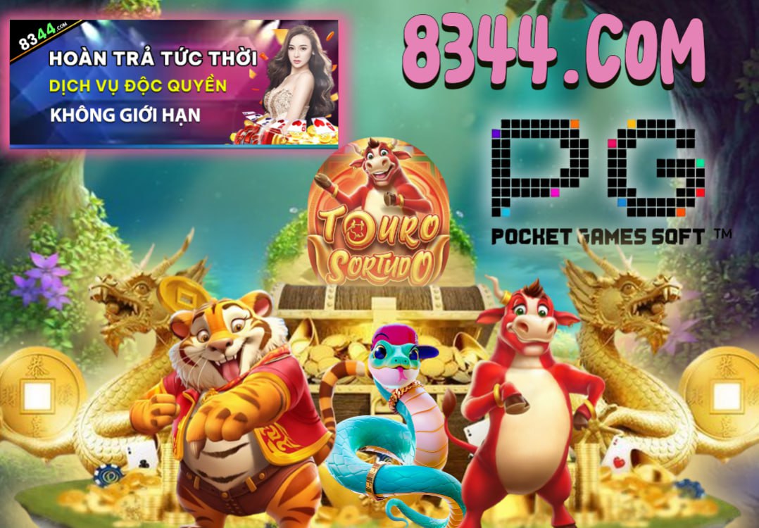 Hình ảnh quảng cáo của casieuno hiển thị nền tảng và các lợi ích