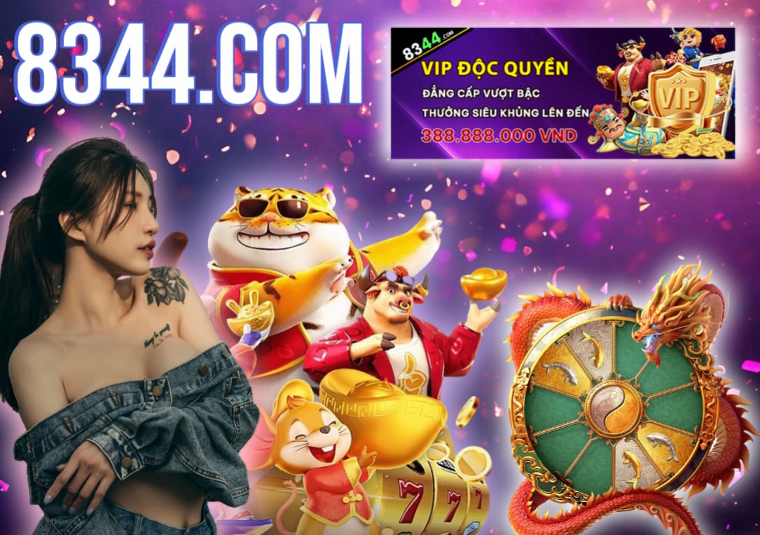 Hình ảnh quảng cáo của casieuno hiển thị nền tảng và các lợi ích