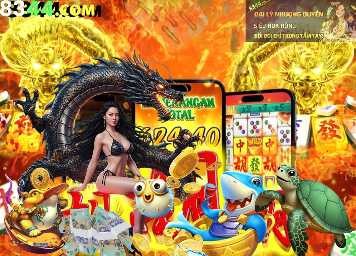 Hình ảnh quảng cáo của casieuno hiển thị nền tảng và các lợi ích