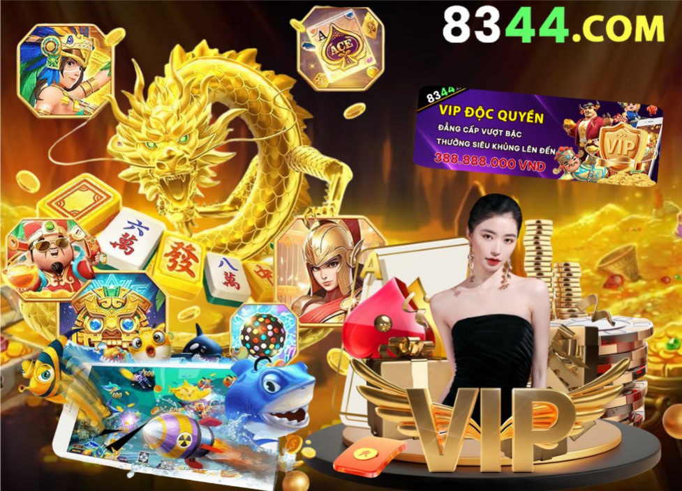 Hình ảnh quảng cáo của casieuno hiển thị nền tảng và các lợi ích